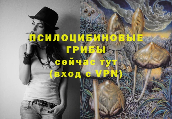 дмт Белокуриха